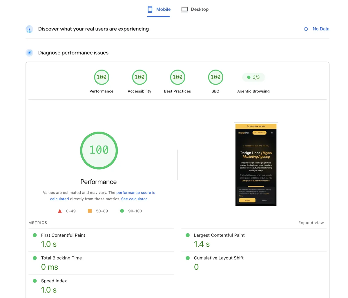 Google PageSpeed Insights showing 100 out of 100 mobile scores for a Design Lincs website in Nottingham